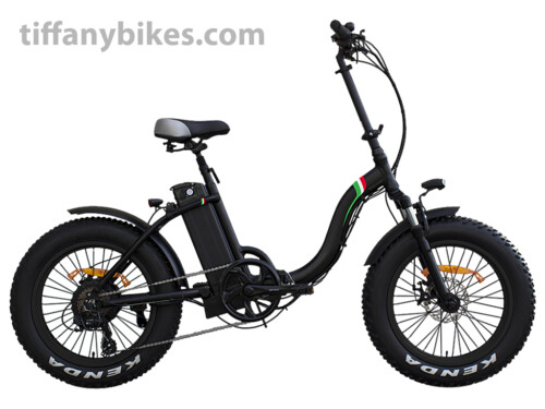 TFEFD0030 E folding bike