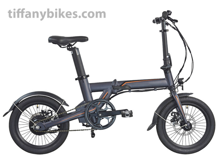 TFEFD0100 E folding bike