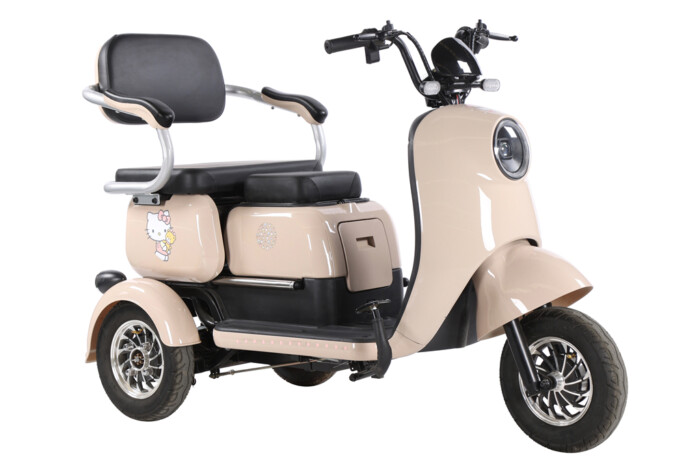 TFTW0020 E THREE WHEELER