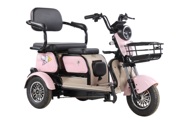 TFTW0030 E THREE WHEELER